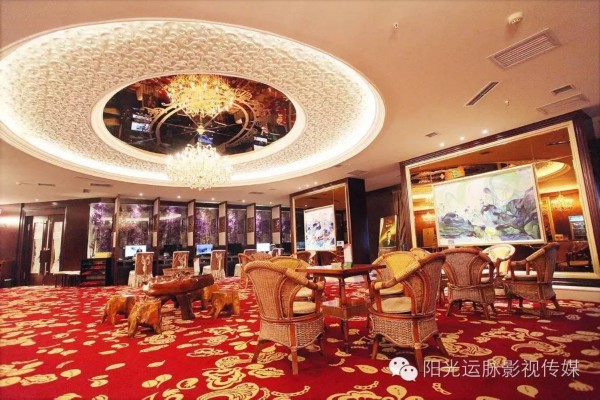 探索无锡春茶嫩芽新宠，wx茶友共赏春日茶香盛宴