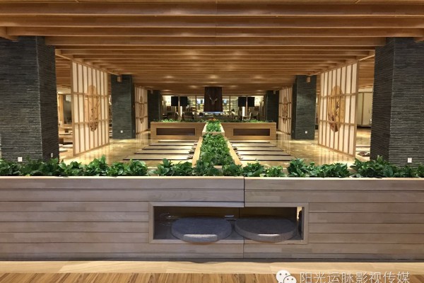 无锡夜游必去：灵山夜游，感受佛教文化与现代美景的交融